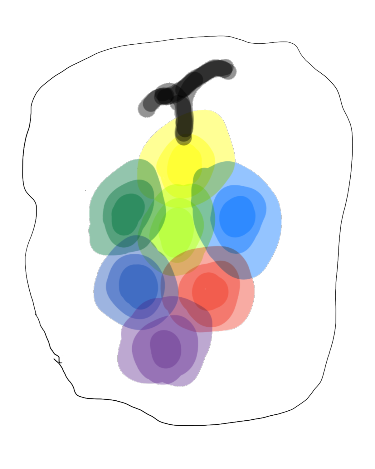 Portfolio Graphic
